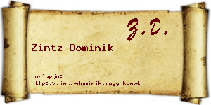 Zintz Dominik névjegykártya